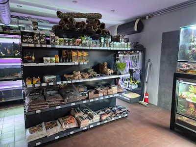 Strefa Egzotyki w Rybniku | sklep akwarystyczno-terrarystyczny